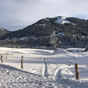 Alte Schmiede Apartment Balderschwang